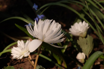 DSCF8900_3860.JPG