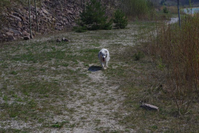 IMGP2942.JPG
