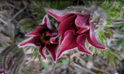 Screenshot_20190407-222228.png