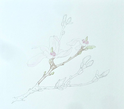 z_190407.jpg