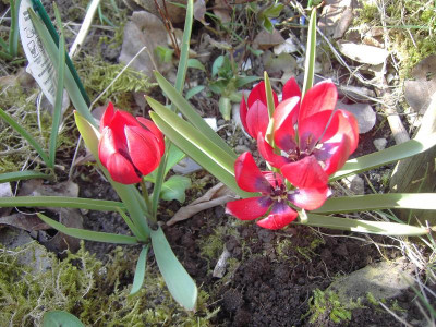 PICT2600.JPG