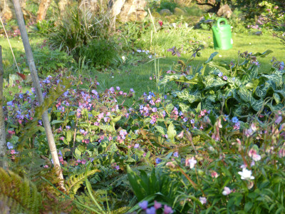 2019-04-07 Gartenimpressionen 1.jpg