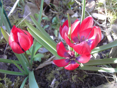 PICT2603.JPG