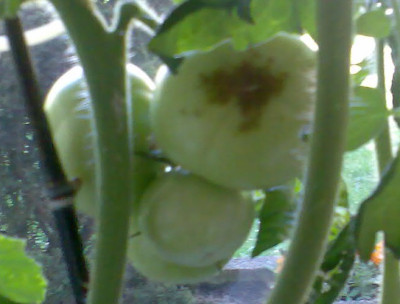 Bild01111.jpg