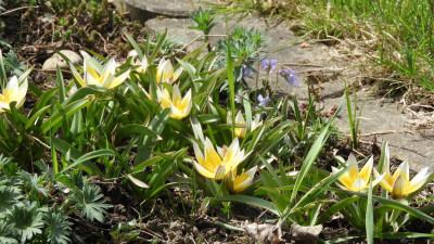 DSCN4175.JPG