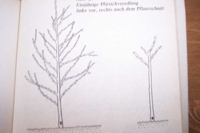 K640_100_3547.JPG
