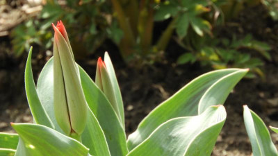 DSCN4172.JPG