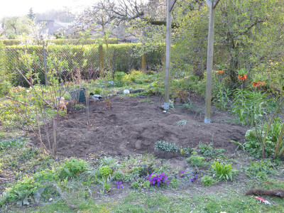 2019-04-08 Garteneinblick 1.jpg