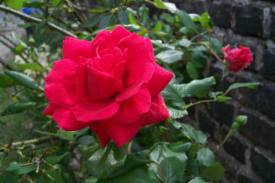 K640_100_3553.JPG