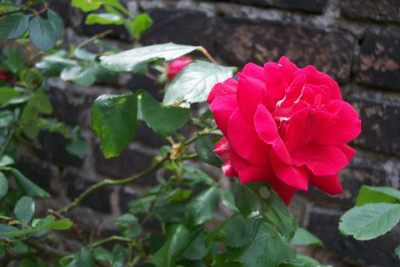 K640_100_3554.JPG