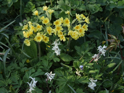 DSCF6127.JPG