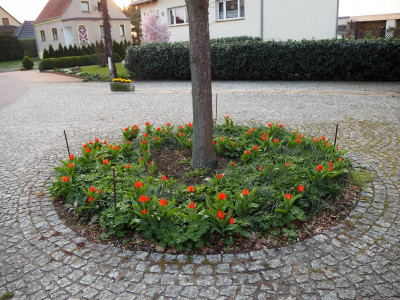 Vorplatz 9.4.19 ue.JPG
