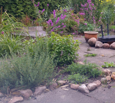 20180907_084843_HDR-1.jpg