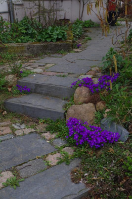IMGP2909.JPG