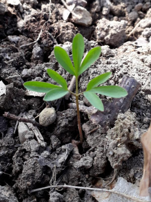 20190408_205851.jpg