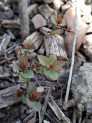 20190408_205808.jpg