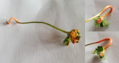 20190409_134457_a.jpg