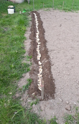 rps20190409_151450.jpg