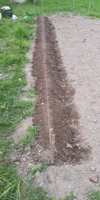 rps20190409_151518.jpg