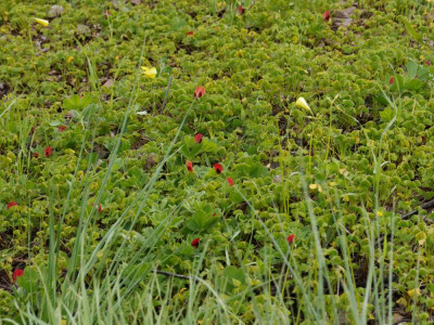 P3310109_DxO_1000px.jpg