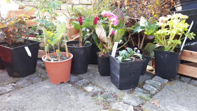 20190409_083903.jpg