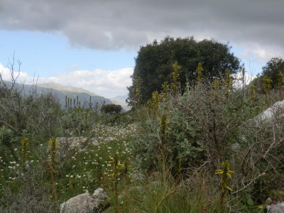 CIMG1641.JPG