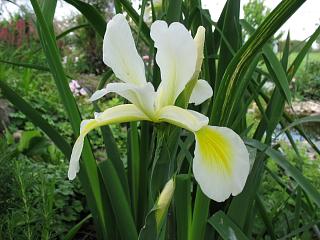 IMG_3925.JPG