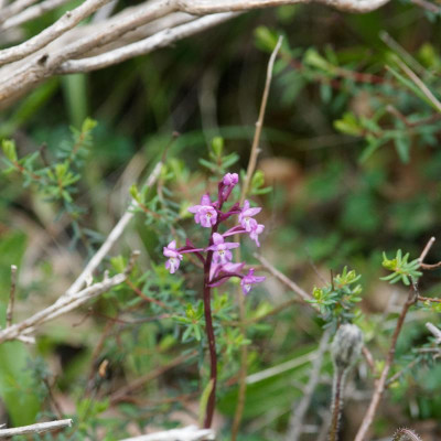 P4010233_DxO_1000px.jpg