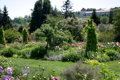 Staudensichtungsgarten0207.jpg