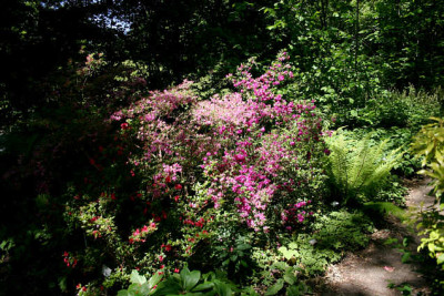 Waldgarten0107.jpg