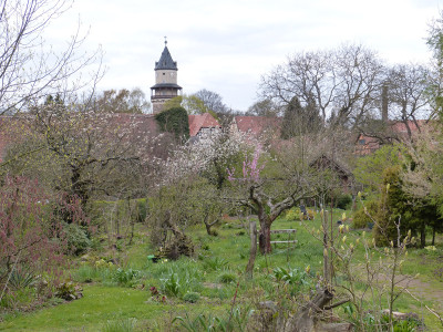 2019-04-11 Garteneinblick 1.jpg