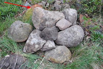MaGraPie2019_04_11_01.jpg