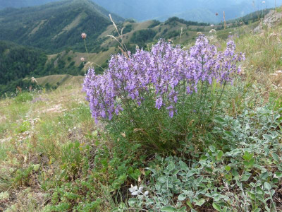 P1090800.JPG