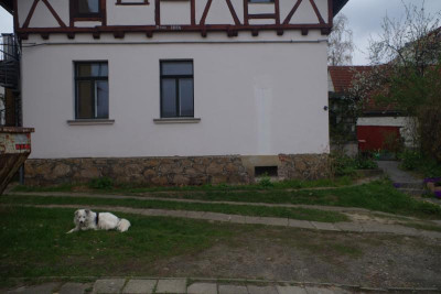 IMGP2982.JPG
