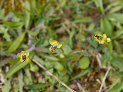 P4020451_DxO_1000px.jpg