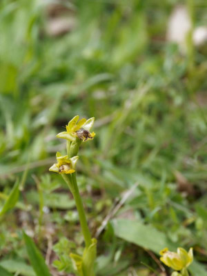 P4020447_DxO_1000px.jpg
