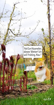 2019-04-13-10-44-22.jpg