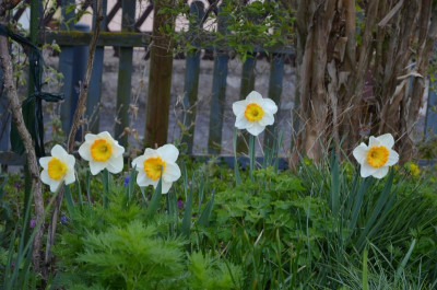 Narcissus-PyjamaParty.19-1.jpg
