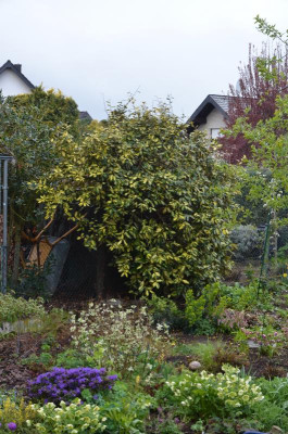 DSC_8048.JPG