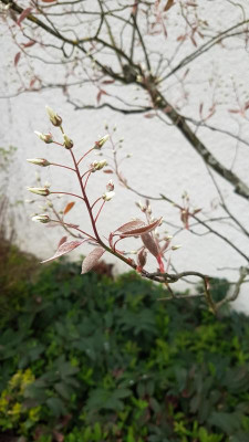 20190413_075914.jpg