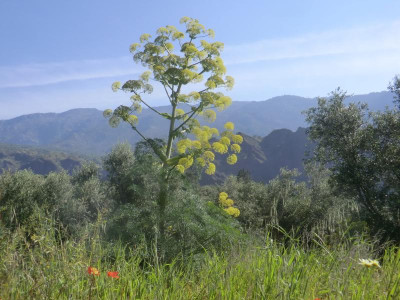 CIMG1770.JPG