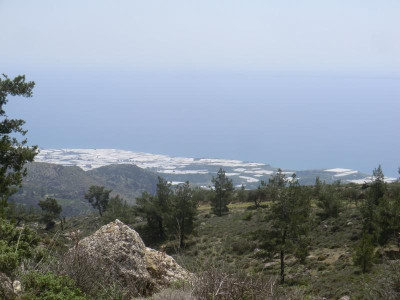 CIMG1806.JPG