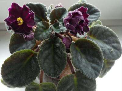 20190413_204027.jpg