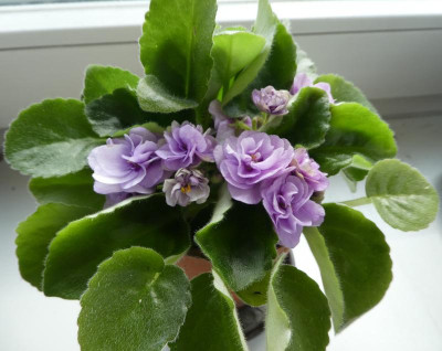 20190413_204059.jpg