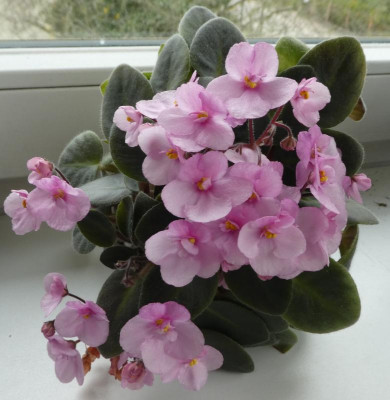 20190413_204212.jpg
