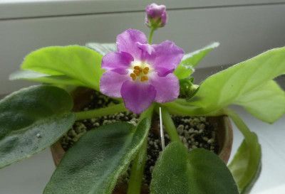 20190413_213509.jpg