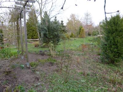 2019-04-02 Garteneinblick 2.jpg
