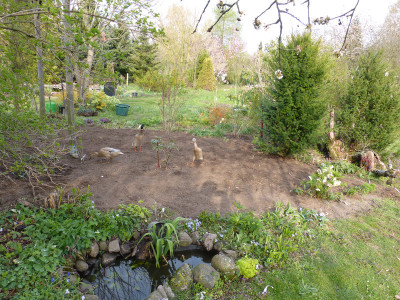 2019-04-13 Garteneinblick 2.jpg