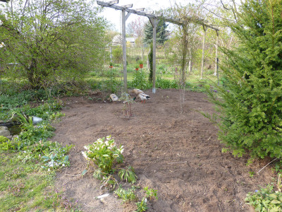 2019-04-13 Garteneinblick 3.jpg