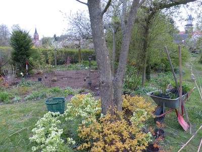 2019-04-13 Garteneinblick 10.jpg